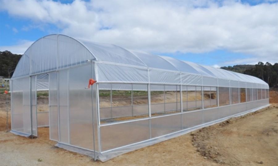 walk in plastic greenhouses cheap price