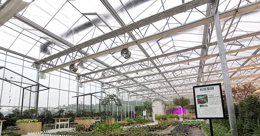 clear polythene sheeting for greenhouse factory