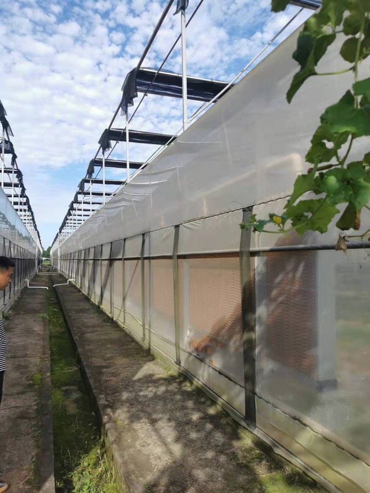 The process and steps of glass greenhouse construction The process and steps of glass greenhouse construction