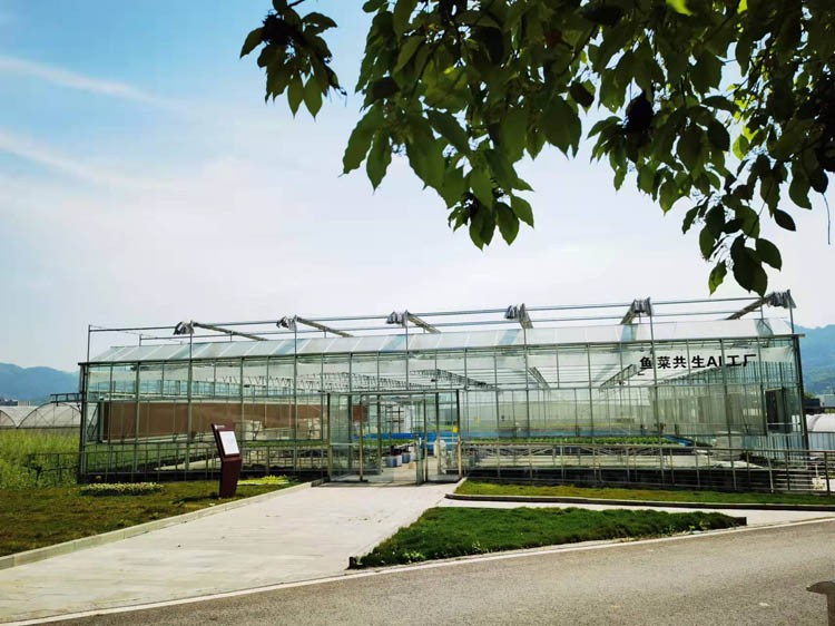 Smart greenhouse is an agricultural industry with modern scientific and technological achievements