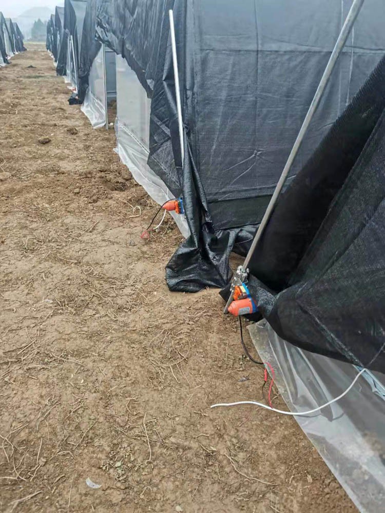 Dark Greenhouse Dark Greenhouse