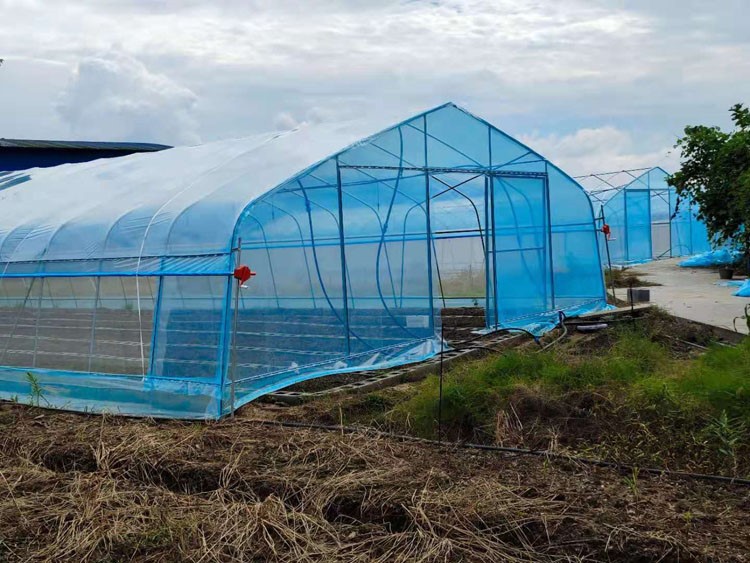 Methods of Improving the Utilization Rate of Steel Frame Greenhouses Methods of Improving the Utilization Rate of Steel Frame Greenhouses