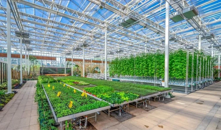 What should be paid attention to when growing vegetables in greenhouses What should be paid attention to when growing vegetables in greenhouses