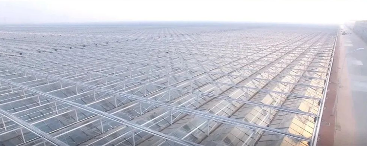 6 Mil Greenhouse Plastic 6 Mil Greenhouse Plastic