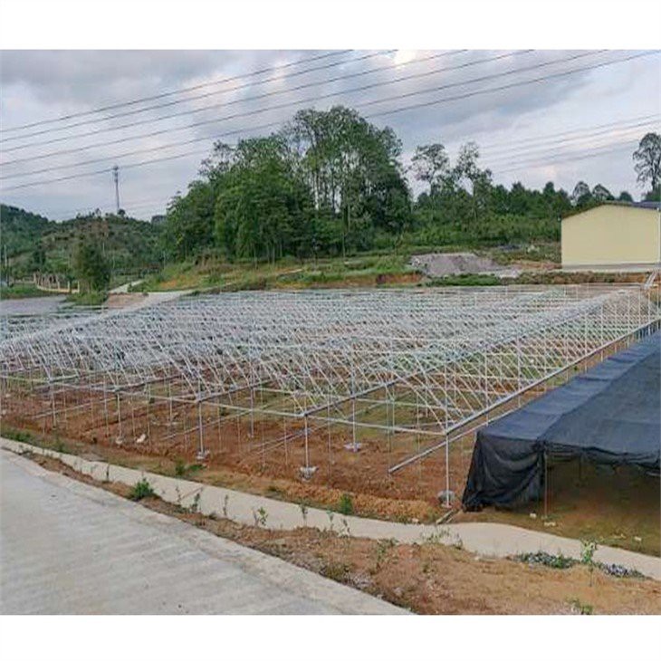 double layer poly greenhouse factory
