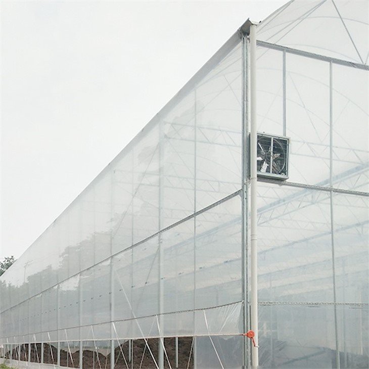 china greenhouse plastic home depot