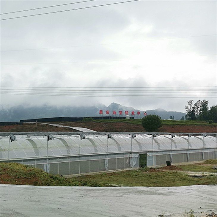 homebase plastic greenhouse covers manufacture