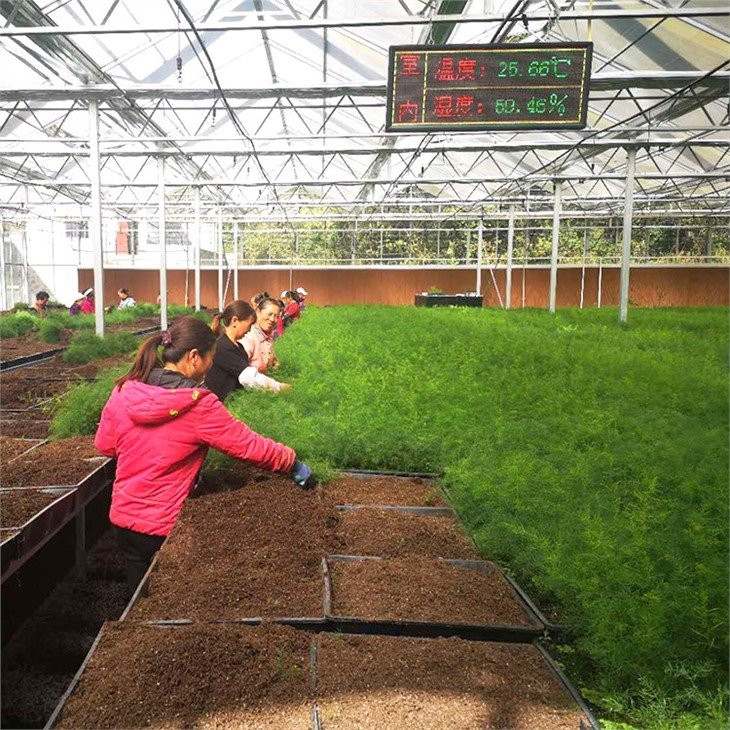 house vegetable garden greenhouse manufacture