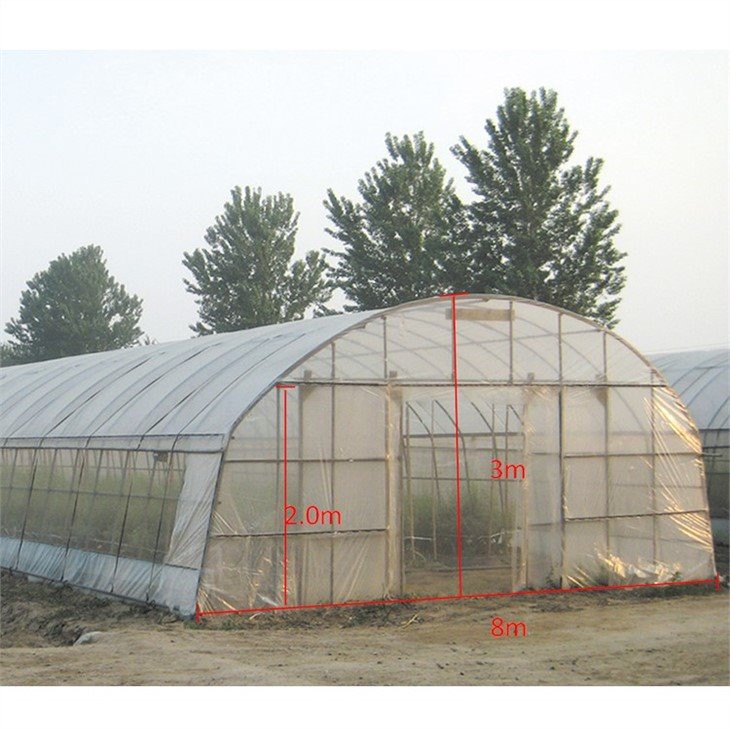 mini greenhouse for indoor plants supplier