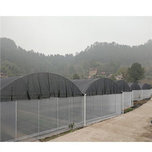 Komerciālā siltumnīcas plastmasa