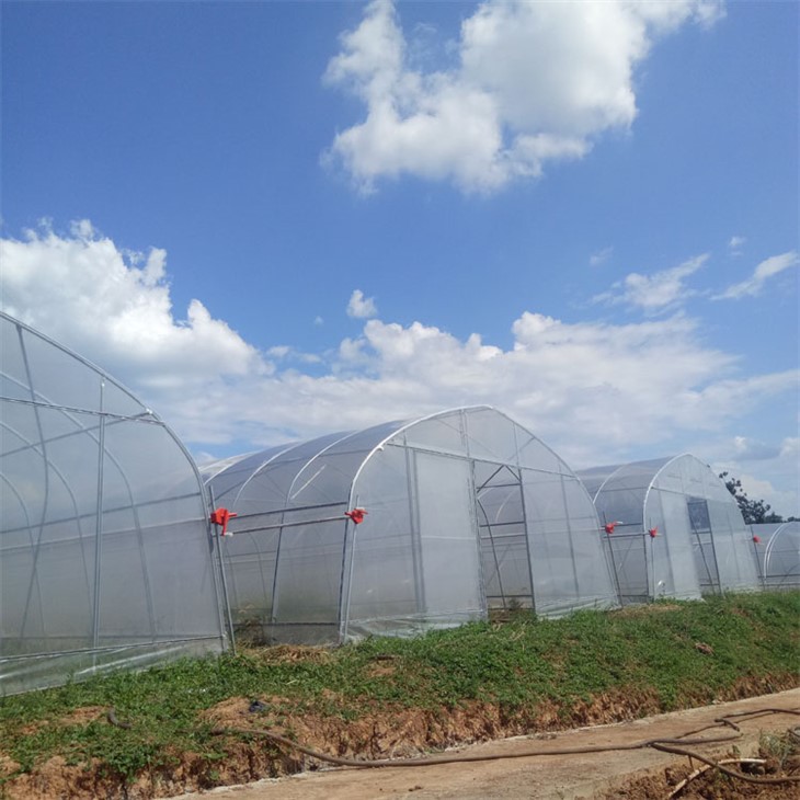 Vienreizējas plastmasas plēves siltumnīca